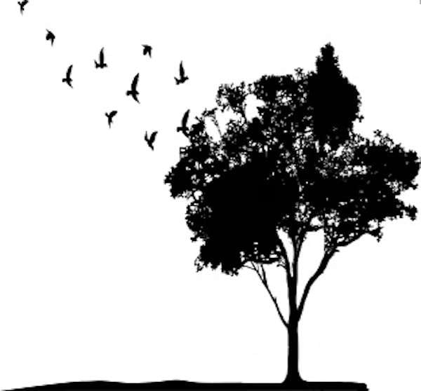 The Mustard Seed
