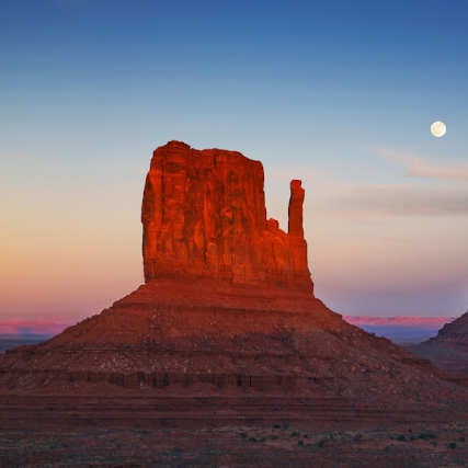 Life in the Desert