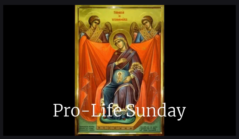 ProLife Sunday